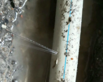 凤翔卫生间测漏水多少钱